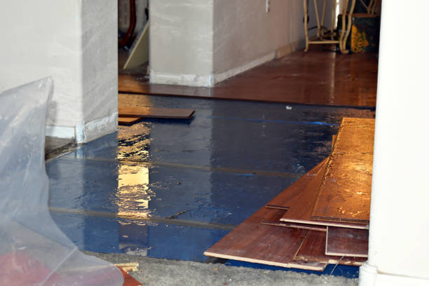 Professional Basement Water Removal technician working in West Enfield, ME
